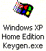 El icono del troyano representa la bandera de Windows (el icono de Mi PC en Windows XP)
